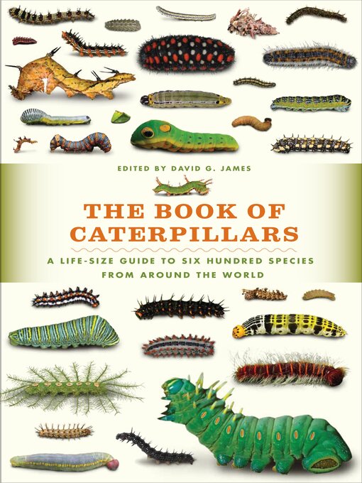 Title details for The Book of Caterpillars by David G. James - Available